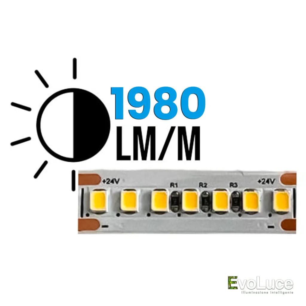STRIPLED 240Led/m - Striscia Led 24V con 240 led al metro 18W/M 1980lm/m - 1 METRO